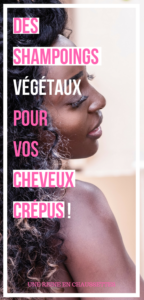 Pinterest des shampoings végétaux naturels que vos cheveux crépus adorent une reine en chaussettes blog beauté naturelle des cheveux crépus